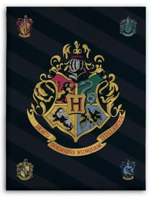 1: Børnetæppe - Harry Potter - 100x140 cm - Blødt og lækkert Fleece tæppe - Borg Living
